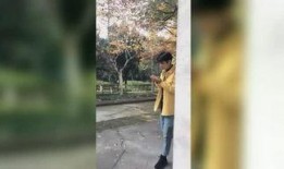 c哥的爆料视频,幕后真相大曝光！