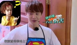 吃瓜娱乐酱程序员,揭秘程序员背后的编程世界