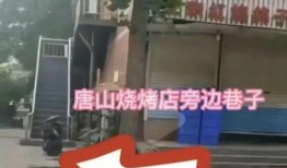 最新爆料唐山事件,真相与反思