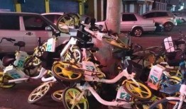 吉林电动车最新爆料,技术革新与市场动态全解析